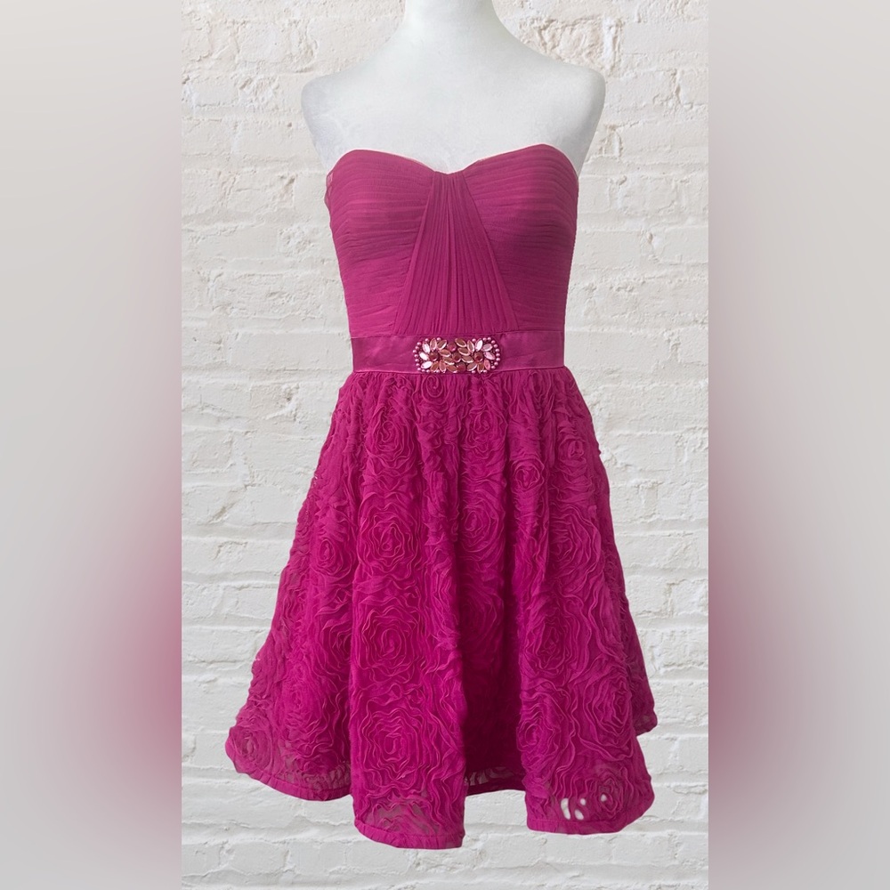 Adrianna Papell Prom Dress Pink 3D Floral Chiffon A-line Sz 6 M Barbiecore Fairy
